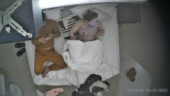 酒店上帝视角偷拍女友换上情趣睡衣后被小伙用超长大黑牛狂怼骚逼 截图3