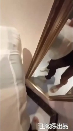 淫乱调教！王教练的淫荡小母狗调教年轻女奴可儿 狗链束缚尽情服侍主人 有钱人养的宠物就是不一样[ 截图10