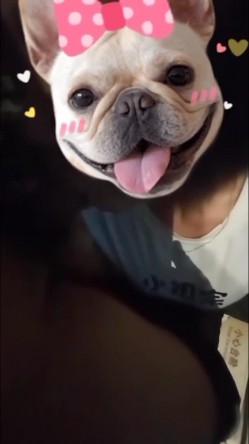 淫乱调教！王教练的淫荡小母狗调教年轻女奴可儿 狗链束缚尽情服侍主人 有钱人养的宠物就是不一样[ 截图14