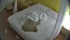 酒店偷拍极品清纯美女和男友酒店腻歪日常早晚各一炮 截图4