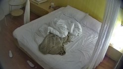 酒店偷拍极品清纯美女和男友酒店腻歪日常早晚各一炮 截图8