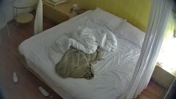 酒店偷拍极品清纯美女和男友酒店腻歪日常早晚各一炮 截图12