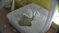 酒店偷拍极品清纯美女和男友酒店腻歪日常早晚各一炮 截图14