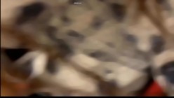 露脸才是王道！极品高颜江大校花【林雅儿】不雅私拍，黑丝美足商场试衣间口爆足交极度反差 截图3