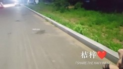 推特【桔梓】露出博主，户内外露出自慰学母狗撒尿，小区公园商场，颜值还不错，身材好胆子大 截图11