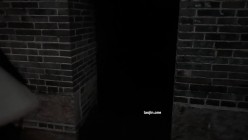 人气露出女神，【cikaimoon】，薄纱全透明，户外乡下乱逛，从白天到黑夜，闲逛青花瓷古镇好刺激！ 截图13