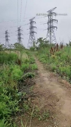 小骚货的户外之旅漏出玩跳弹，小河边大树下撅着屁股玩跳弹，全裸自慰上树老农家的彩田全裸游行不要错过 截图12
