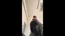 台陆军军官情侣不雅视频最新外流，第四作战区最辣的豪乳啪啪 截图15