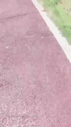 广西夫妻户外勾搭~老婆，你给胸她看一下勾引~我把老婆给你搞，你也给我介绍一个嘛，我老公很大方的，我们经常换妻！最后商量一起回家里搞！ 截图1