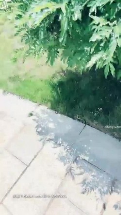 广西夫妻户外勾搭~老婆，你给胸她看一下勾引~我把老婆给你搞，你也给我介绍一个嘛，我老公很大方的，我们经常换妻！最后商量一起回家里搞！ 截图2