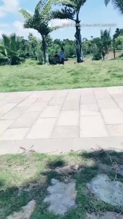 广西夫妻户外勾搭~老婆，你给胸她看一下勾引~我把老婆给你搞，你也给我介绍一个嘛，我老公很大方的，我们经常换妻！最后商量一起回家里搞！ 截图3