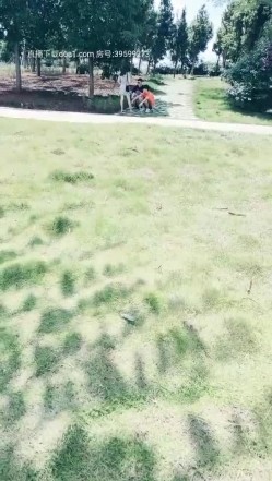 广西夫妻户外勾搭~老婆，你给胸她看一下勾引~我把老婆给你搞，你也给我介绍一个嘛，我老公很大方的，我们经常换妻！最后商量一起回家里搞！ 截图6