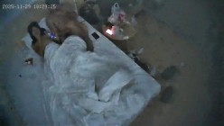酒店偷拍 连续两天入住情侣气质甜美又身材不错的美女喜欢上位榨取男友精液 截图3