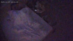 酒店偷拍 连续两天入住情侣气质甜美又身材不错的美女喜欢上位榨取男友精液 截图10