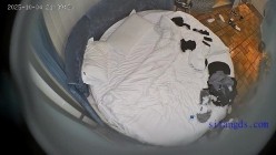 酒店情趣圆床偷拍 时尚前卫打扮男女开房有点角色互换性别的意思 截图3
