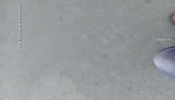 【足疗店小粉灯】偷拍3天多女~扫街达人，打桩机，少妇们这是赚钱吗？不，在享受真实刺激 截图1