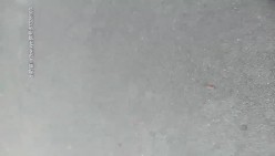 【足疗店小粉灯】偷拍3天多女~扫街达人，打桩机，少妇们这是赚钱吗？不，在享受真实刺激 截图3