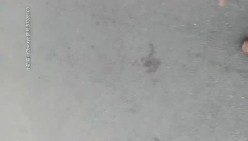 【足疗店小粉灯】偷拍3天多女~扫街达人，打桩机，少妇们这是赚钱吗？不，在享受真实刺激 截图6