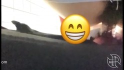 征服21岁叛逆表妹 第一次后入插表妹 表妹的逼很浅，所以很容易插得深 从下面的视角拍后入真的难拍 后面特写镜头真的看一次硬一次 截图10