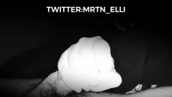 顶级反差骚婊女神【MARTIN-ELLI】怀孕中也不休息，怀孕时女人的性欲会比平常高好几倍，这下可以放心内射了 截图5
