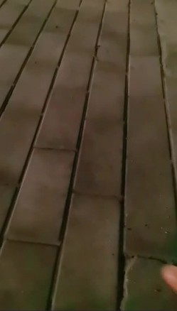 宝马开道，【破处小淫龙】，深夜外出勾搭，催情药一上，再加上金钱诱惑，无套车震小少妇，紧张刺激！ 截图3