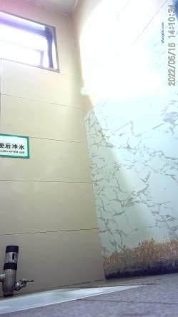 商场女厕偸拍超多年轻小姐姐小少妇方便，透明黑丝内裤一线天馒头逼没拿纸擦逼抖一抖 截图3