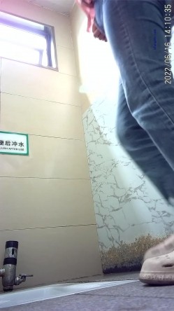 商场女厕偸拍超多年轻小姐姐小少妇方便，透明黑丝内裤一线天馒头逼没拿纸擦逼抖一抖 截图4