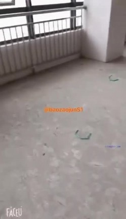 【最强反差终极调教】绿帽性爱狂“暴君S”超级调教女奴甄选 日常淫乱交换群P 各种公共场合露出 性爱女奴进化篇 截图1