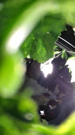 酒店偷拍精品 ️优质上等台大学生情侣玩的淫荡各种姿势操凌空抱着操 截图1