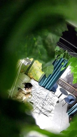 酒店偷拍精品 ️优质上等台大学生情侣玩的淫荡各种姿势操凌空抱着操 截图2