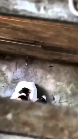 【网曝门事件】最近火遍全网的『大学情侣光天化日下楼道巷子啪啪扰民』旁若无人 叫声在楼上都能听到 截图2