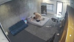 黑客破解家庭网络摄像头偷拍住毛坯房的年轻情侣疯狂做爱有时一天做爱几次 截图13