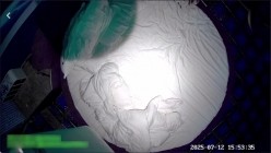 私享台酒店精品偷拍 高颜值性感美女床上变骚母狗被男友操出血 截图2