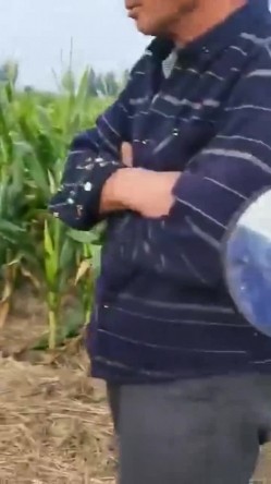 大爷阿姨操逼真不计较 大白天在玉米地三轮车上就干上了 操完用水洗洗逼在操 截图1