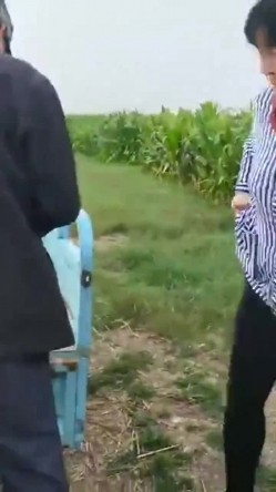大爷阿姨操逼真不计较 大白天在玉米地三轮车上就干上了 操完用水洗洗逼在操 截图9