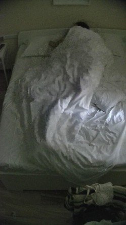 酒店偷拍 反差婊戴眼镜的骚女换开档黑丝和女仆装和男友尽情做爱 截图2