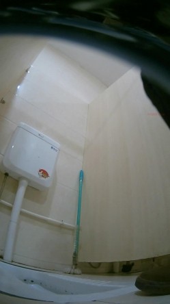 公园女厕暗藏摄像头偷拍 美女少妇的各种美鲍鱼 截图1