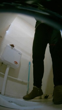 公园女厕暗藏摄像头偷拍 美女少妇的各种美鲍鱼 截图3