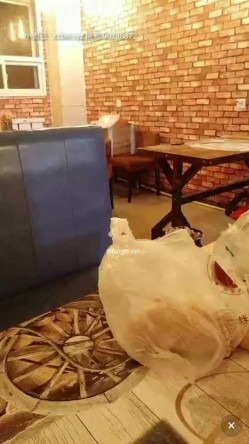 饭馆老板娘，生意不好做黄播下海捞金，边包饺子包紫薇，满手沾满淫水的饺子你想吃么，骚浪贱货阿姨！ 截图16