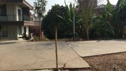 天花板露出狂人御姐【cikaimoon】付费，更大胆直接，当着老农的面直接脱光 截图12