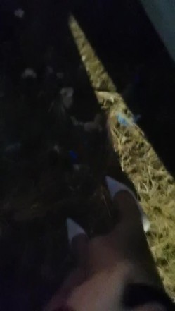 风情少妇深夜跟大哥户外车震，开档黑丝让大哥用跳蛋塞进逼里抽插浪叫呻吟，露脸口交大鸡巴无套抽插不要错过 截图16
