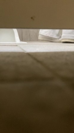 学校图书室厕所偷拍女同学尿尿 每个女同学都对我撅起屁股露出那条小肉缝 截图1