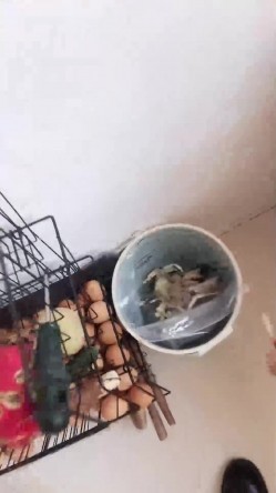 【泡泡马】白领御姐~! 白皙身材~户外刺激车震~无套啪啪 截图9