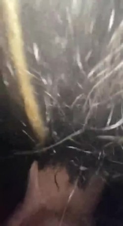 专约极品性感良家人妻，万里挑一的极品，趴窗边翘起翘臀迎接大肉棒进入，表面端庄人妻 私下反差母狗 截图8