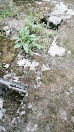 眼镜小妹的性生活，露脸户外激情铺块毯子就开始干，被大哥摸着奶子玩着逼草着嘴，各种姿势爆草抽插浪荡 截图13