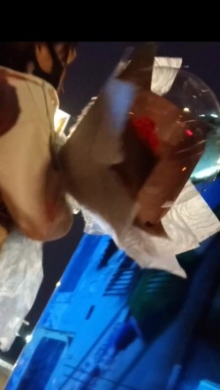 黑虎露出系列 牛人街头露JB对着年轻貌美的妹子打飞机 高颜值高画质 心脏巨大之人 截图3