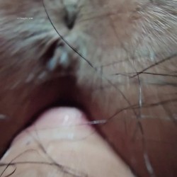 极品巨臀女神【Dr.kiki】付费福利 肥臀圆润白皙巨乳 各种姿势自慰啪啪 截图11