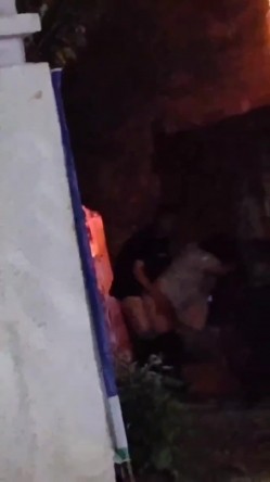 唿伦贝尔阿荣旗 一情侣在翻斗车野战被偷拍曝光，野战就是爽呀！ 截图1
