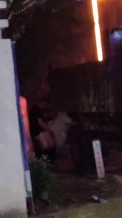 唿伦贝尔阿荣旗 一情侣在翻斗车野战被偷拍曝光，野战就是爽呀！ 截图10