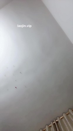 20岁清纯学生妹，【愤怒花卷】，极品美乳，被小男友日日蹂躏，无套啪啪 截图4